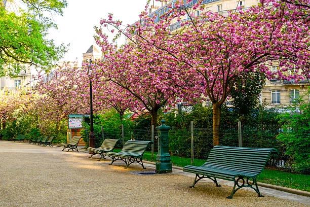 pic for Outdoor Park Bench6
