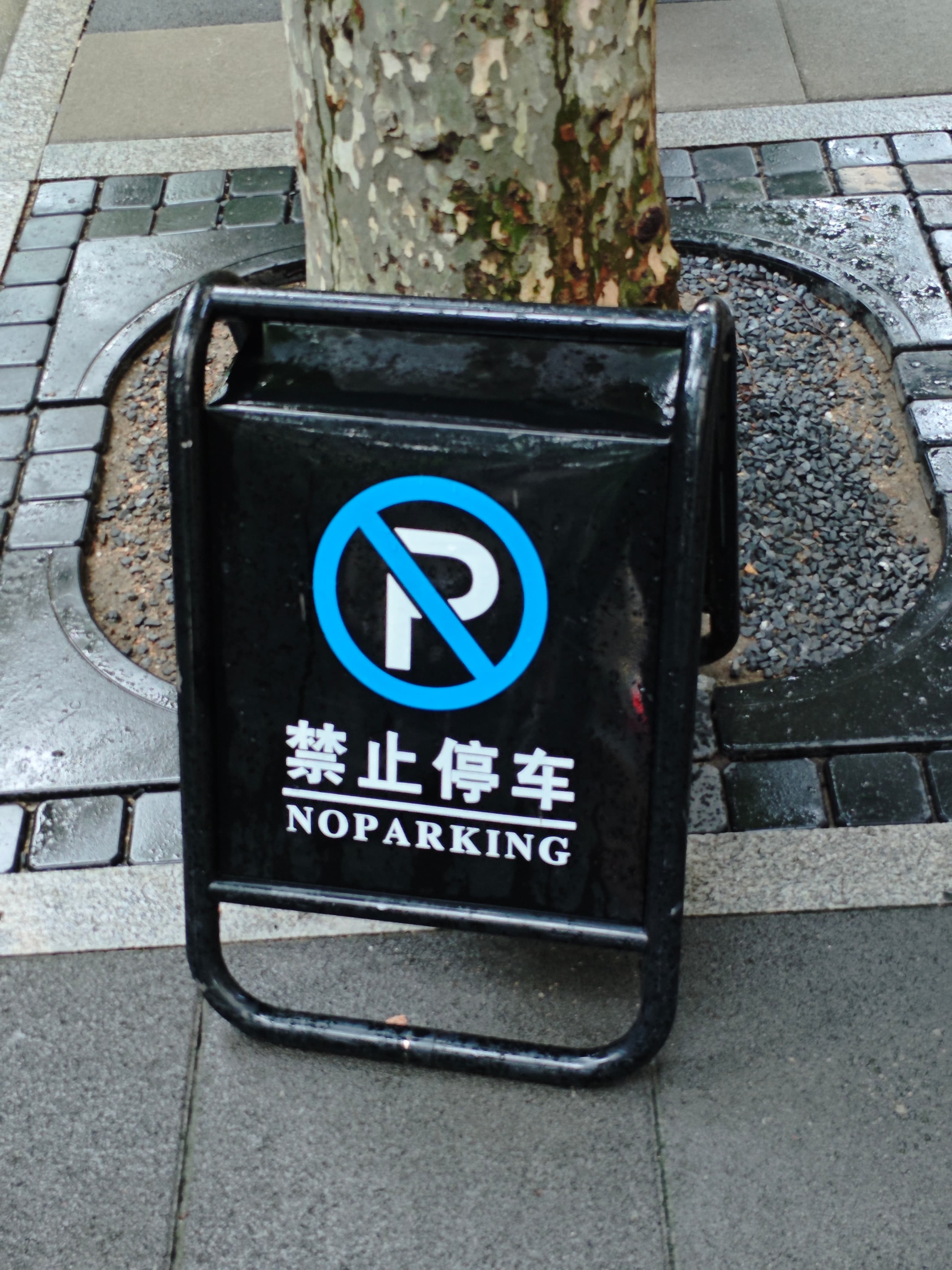 Directional Signs/Prompt Sign