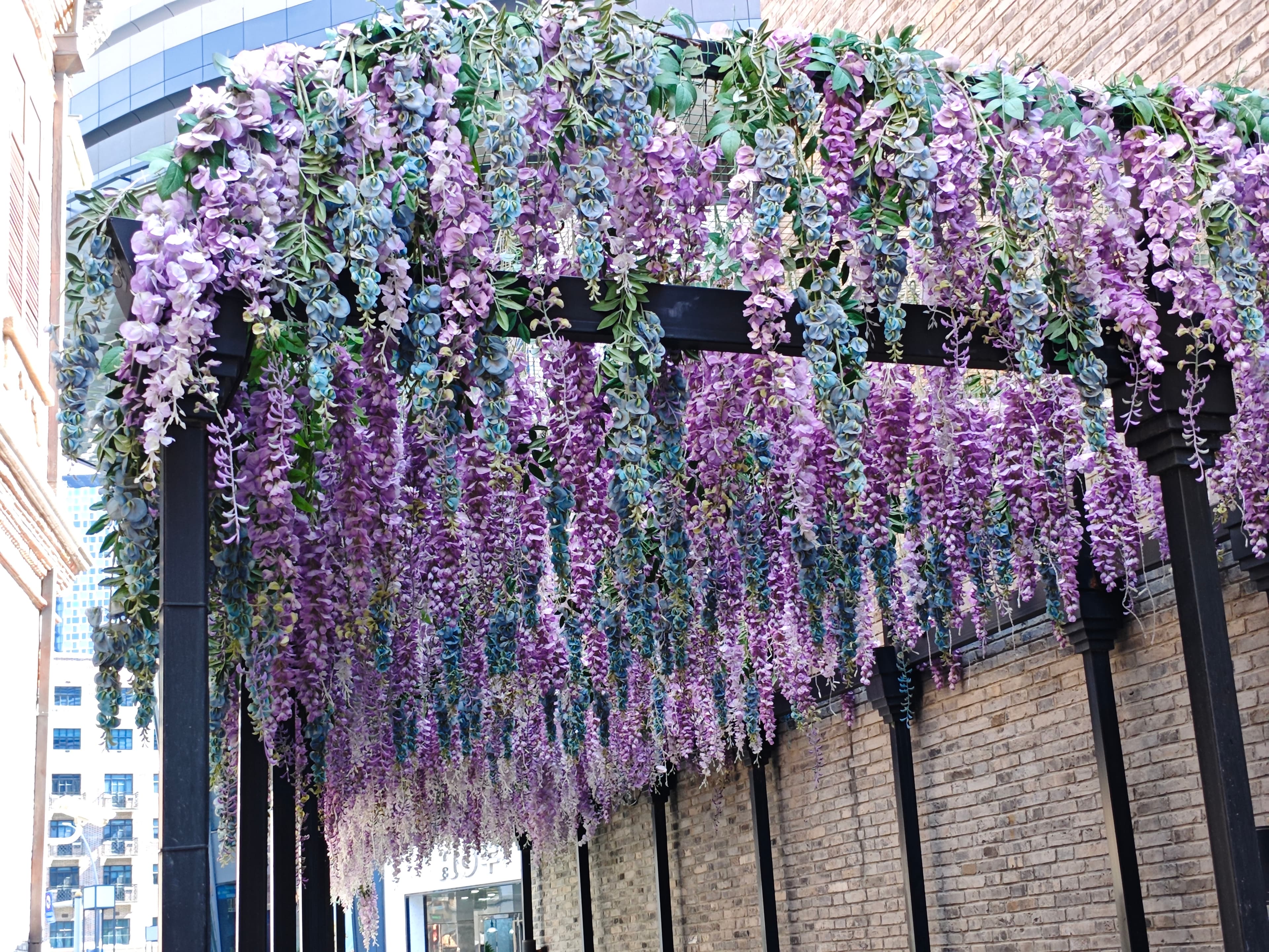 Metal Pergola Trellis for Climbing Plants