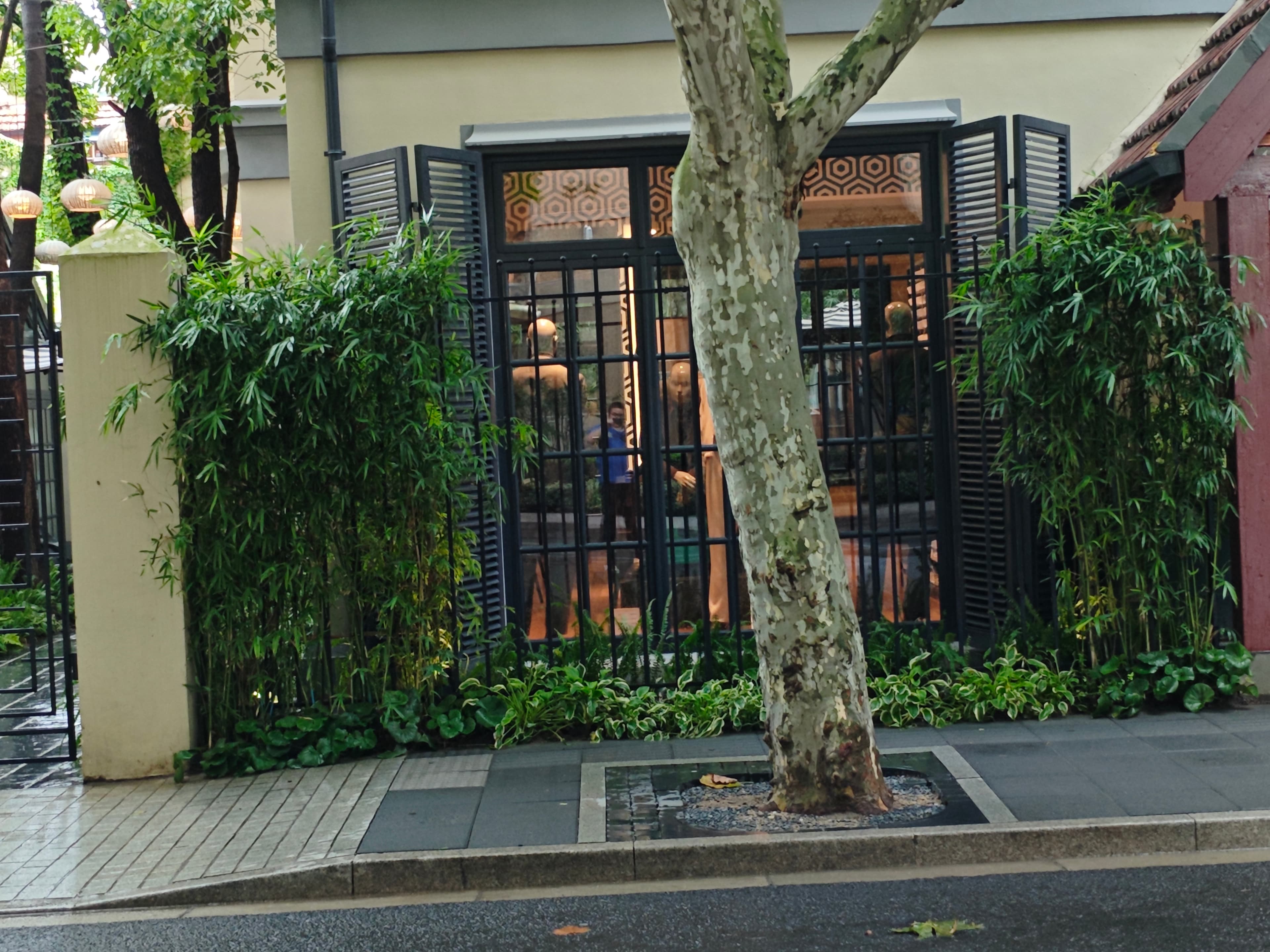 Decorative iron fence 2